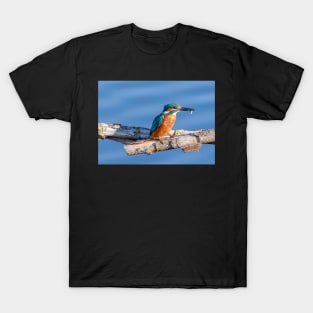 Kingfisher eating its catch T-Shirt